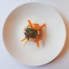 Gourmet salad with sliced carrots and microgreens elegantly presented on a white plate deconstructing fine dining