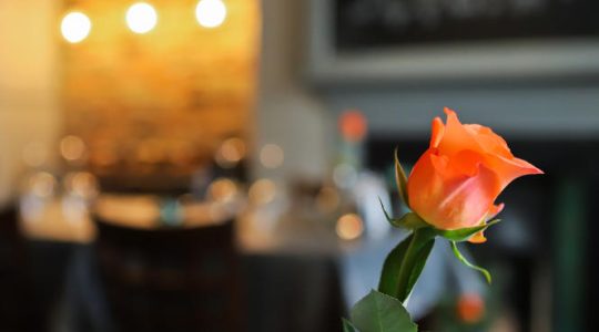 Orange rose in vase on restaurant table, warm ambient lighting in the background