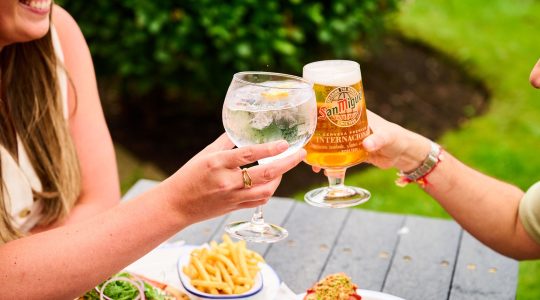 Friends toasting with beer and gin at an outdoor picnic, food and greenery in the background