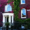 Historic red-brick building with ivy-covered facade and arched windows, framed by a black wrought-iron fence