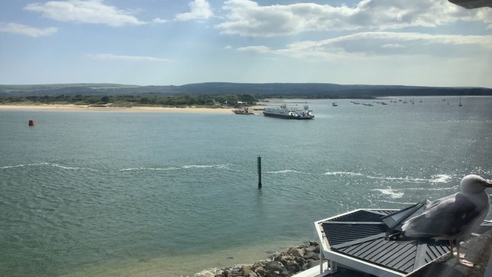 A seagull perched by the seaside, overlooking a ferry crossing the calm waters of a picturesque bay under a cloudy sky