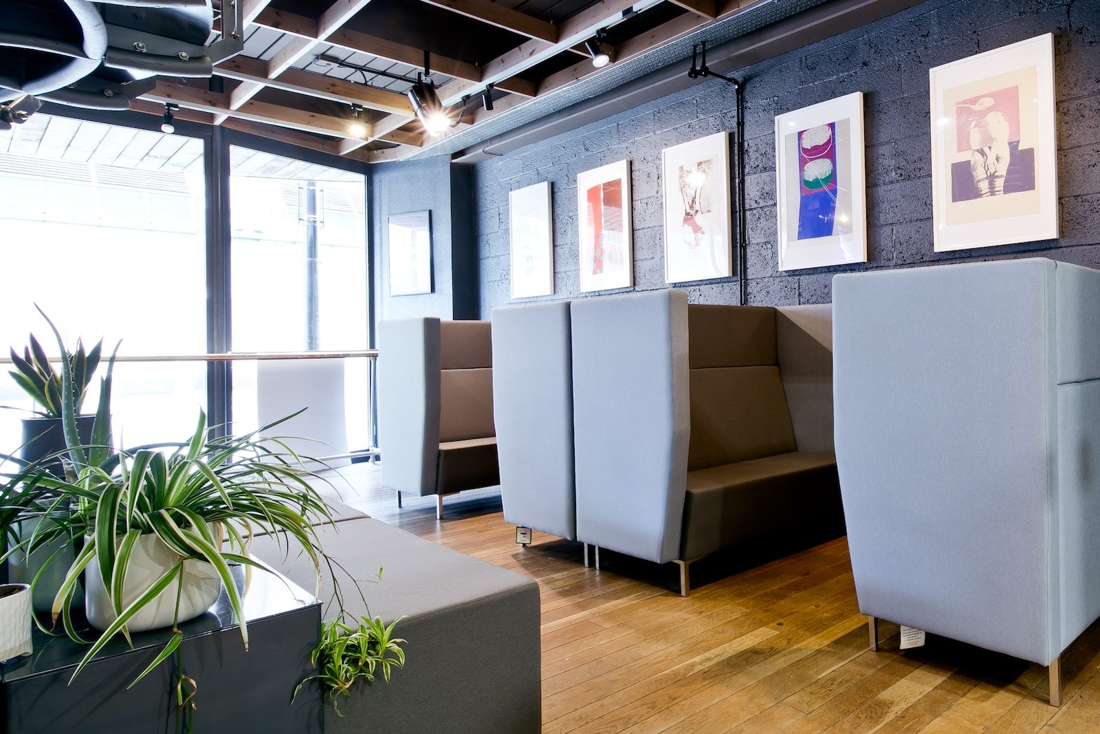 Modern office lounge with grey booths, wooden flooring, green plants and framed art on black brick wall